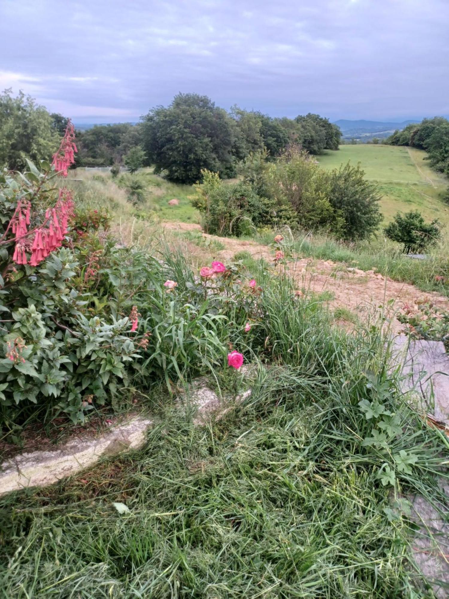 La Biste Mirepoix (Ariege) Exterior foto